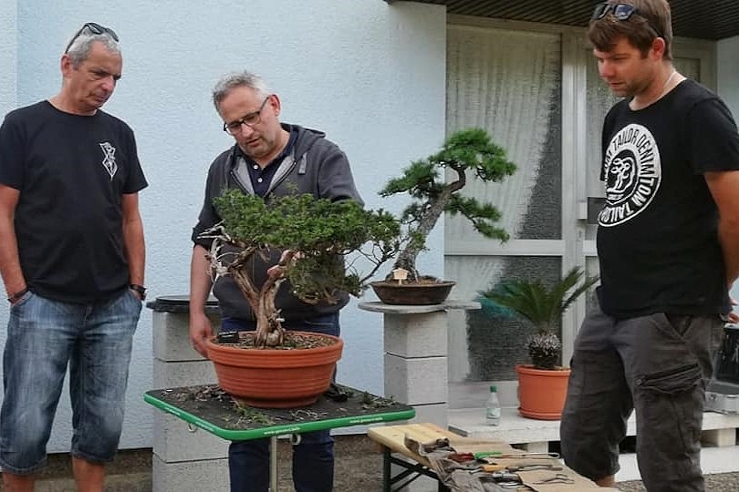 55+ Bonsai Garten Müller, Beim erwerb unserer bonsai ist ein