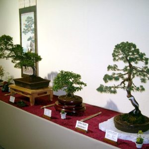 IMGP0006