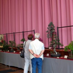 IMG_0450