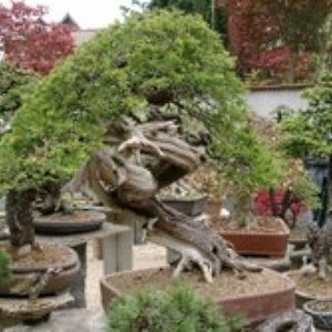 ausstellungen2